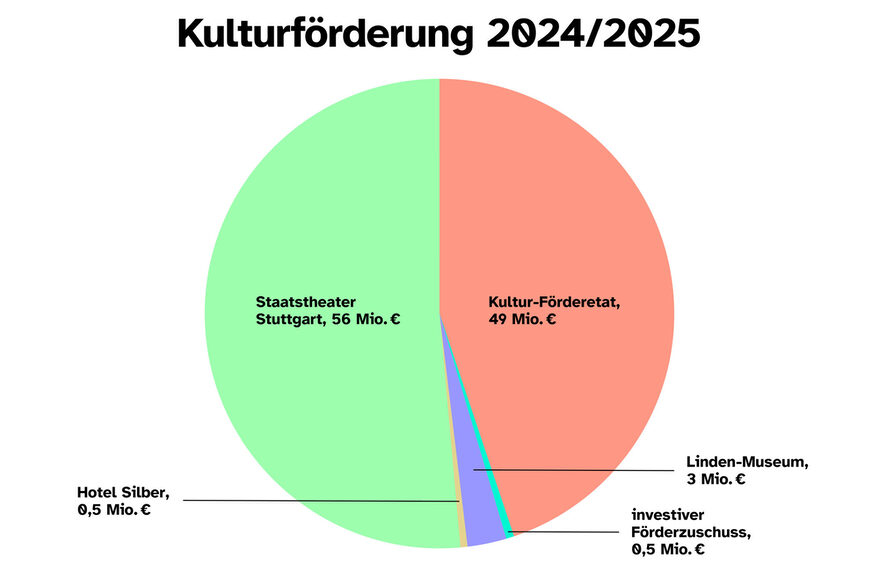 Grafische Darstellung der Zuschüsse Kulturförderung für die Jahre 2024 und 2025