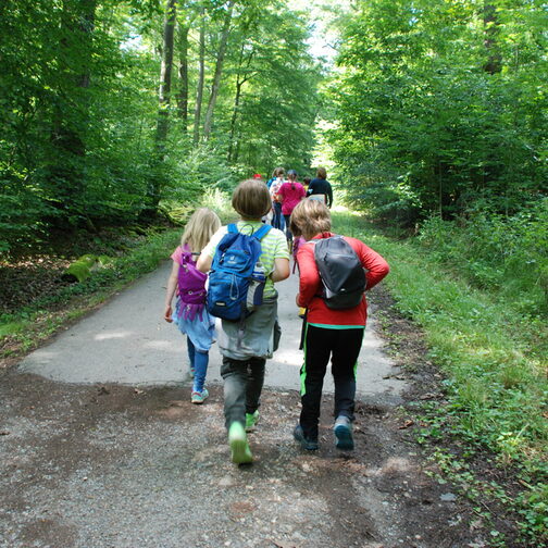 Eine Gruppe Kinder, die auf einem Weg durch den Wald läuft.