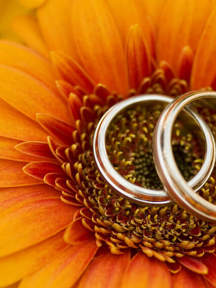 Zwei goldene Ringe liegen in einer orangfarbenen Blüte.