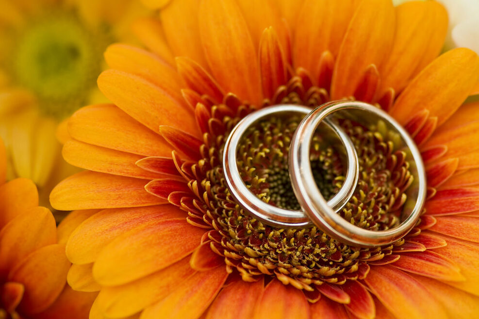 Zwei goldene Ringe liegen in einer orangfarbenen Blüte.