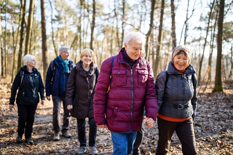 Eine Gruppe Senioren spaziert durch einen herbstlichen Wald.