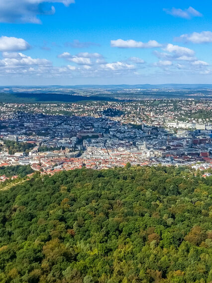 Blick über eine Stadt, im Vordergrund ist viel Wald zu sehen.