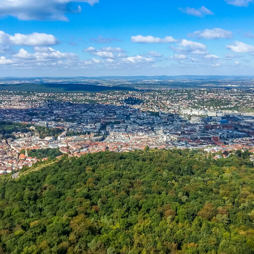 Blick über eine Stadt, im Vordergrund ist viel Wald zu sehen.