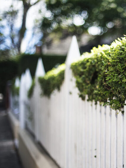 Weißer Zaun an einer Hecke markiert eine Grundstücksgrenze.