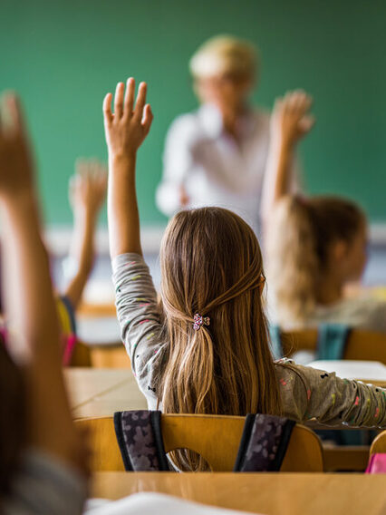 Rückansicht einer Schulklasse, die Schüler melden sich. Im Hintergrund steht eine Lehrerin vor einer Tafel.