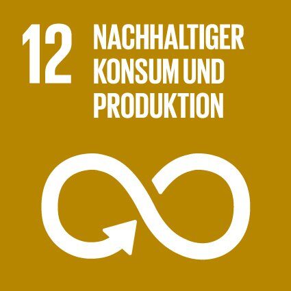 Grafik SDG12: Nachhaltiger Konsum und Produktion