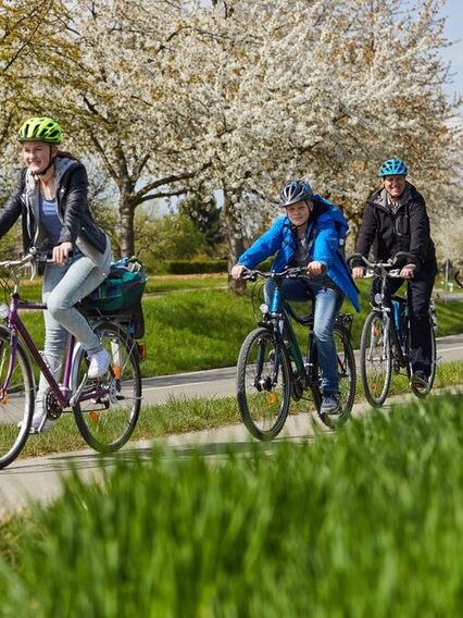 Fünf Menschen fahren mit dem Fahrrad neben einer Bundesstraße.