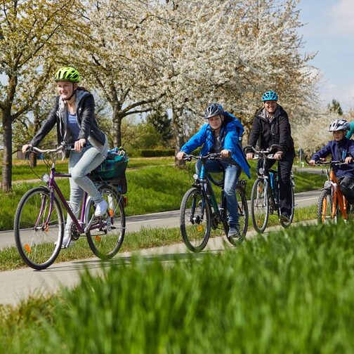 Fünf Menschen fahren mit dem Fahrrad neben einer Bundesstraße.