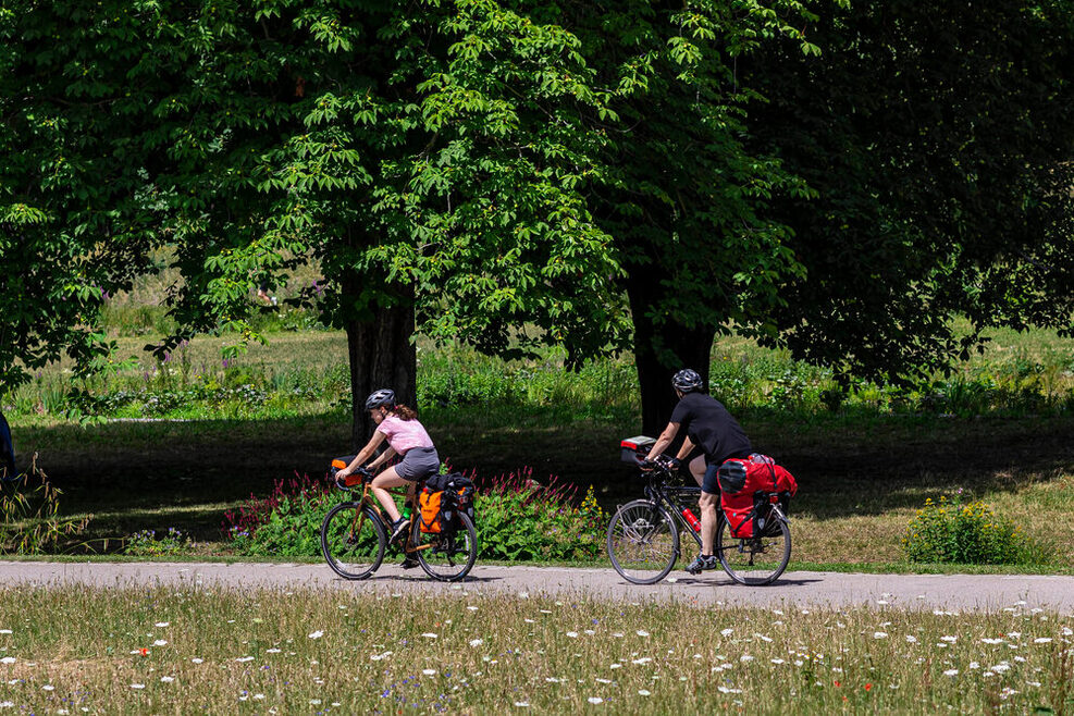 Zwei Fahrradfahrer radeln durch einen Park.