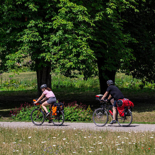 Zwei Fahrradfahrer radeln durch einen Park.