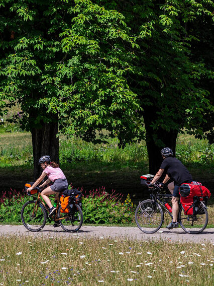 Zwei Fahrradfahrer radeln durch einen Park.