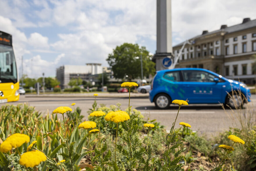 Ein kleines blaues Auto und ein Linienbus überqueren den Charlottenplatz. Am Straßenrand wachsen gelbe Blumen.