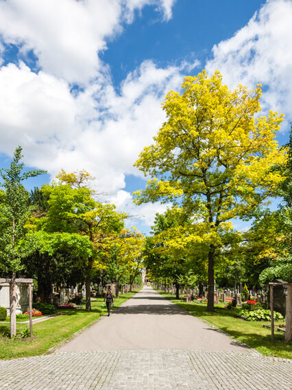 Allee auf dem Pragfriedhof.