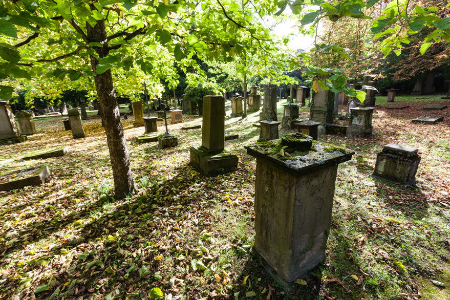 Alte Grabsteine auf dem Hoppenlaufriedhof.