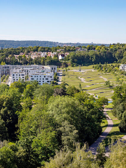 Blick auf mehrere Häuser, umgeben von Wiesen und Wald.