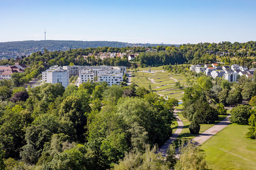 Blick auf mehrere Häuser, umgeben von Wiesen und Wald.