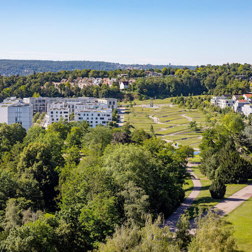 Blick auf mehrere Häuser, umgeben von Wiesen und Wald.