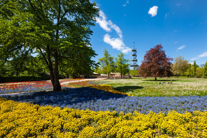 Blumenbeete und Killesbergturm