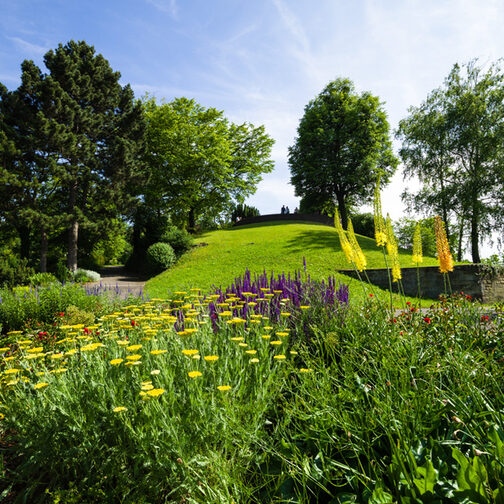 Pflanzenbeet im Weißenburgpark Stuttgart.