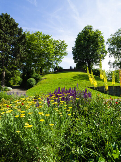 Pflanzenbeet im Weißenburgpark Stuttgart.