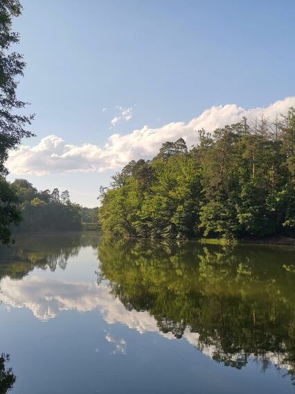 Blick auf den Pfaffensee inmitten des Pfaffenwalds