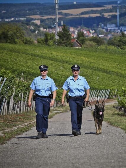 Zwei Beamtinnen des Städtischen Volzugsdienstes laufen mit einem Hund durch die Weinberge