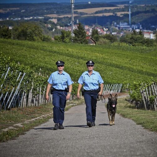 Zwei Beamtinnen des Städtischen Volzugsdienstes laufen mit einem Hund durch die Weinberge