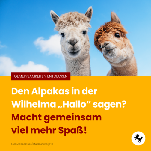 Motive Spieleabend