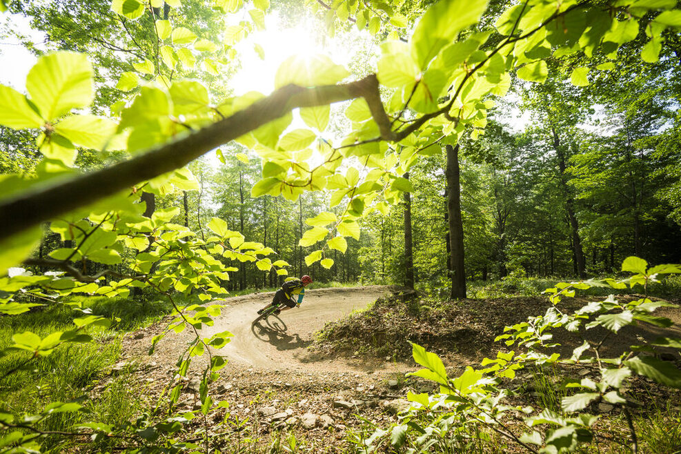 Mountainbike-Fahrer brettert durch den Wald