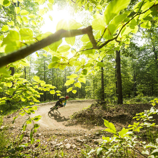 Mountainbike-Fahrer brettert durch den Wald