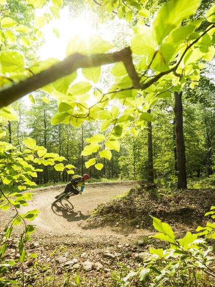 Mountainbike-Fahrer brettert durch den Wald