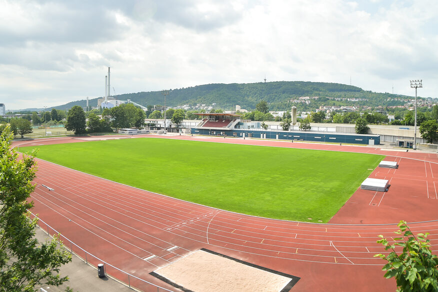 Das Sportstadion Festwiese mit Rasenspielfeld, Tribüne und Laufbahn.