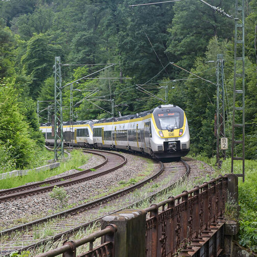 Ein Zug fährt in einer Kurve durch ein Waldgebiet.