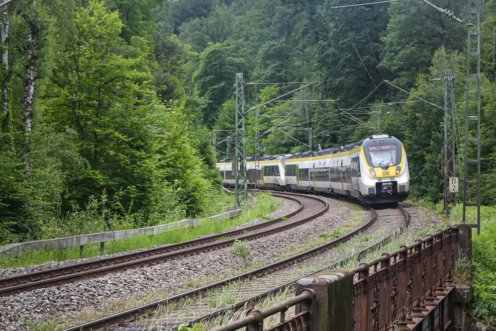 Ein Zug fährt in einer Kurve durch ein Waldgebiet.