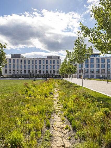 Blick auf ein Neubau, im Vordergrund grüne, freie Fläche.