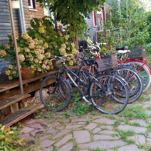 Garten auf einem Parkhaus mit im Stadtgebiet.