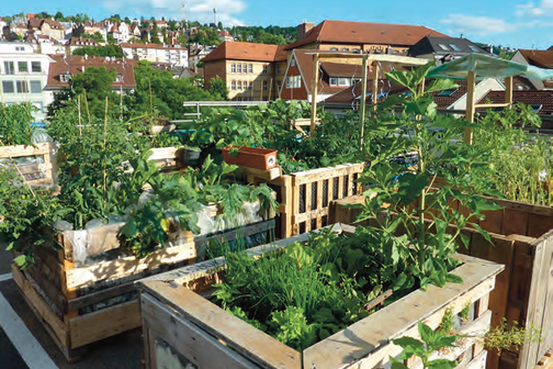 Urbanes Gärtnern auf dem Parkhausdach