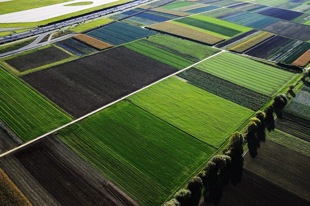 Luftaufnahme von einer Fläche mit mehreren Feldern.