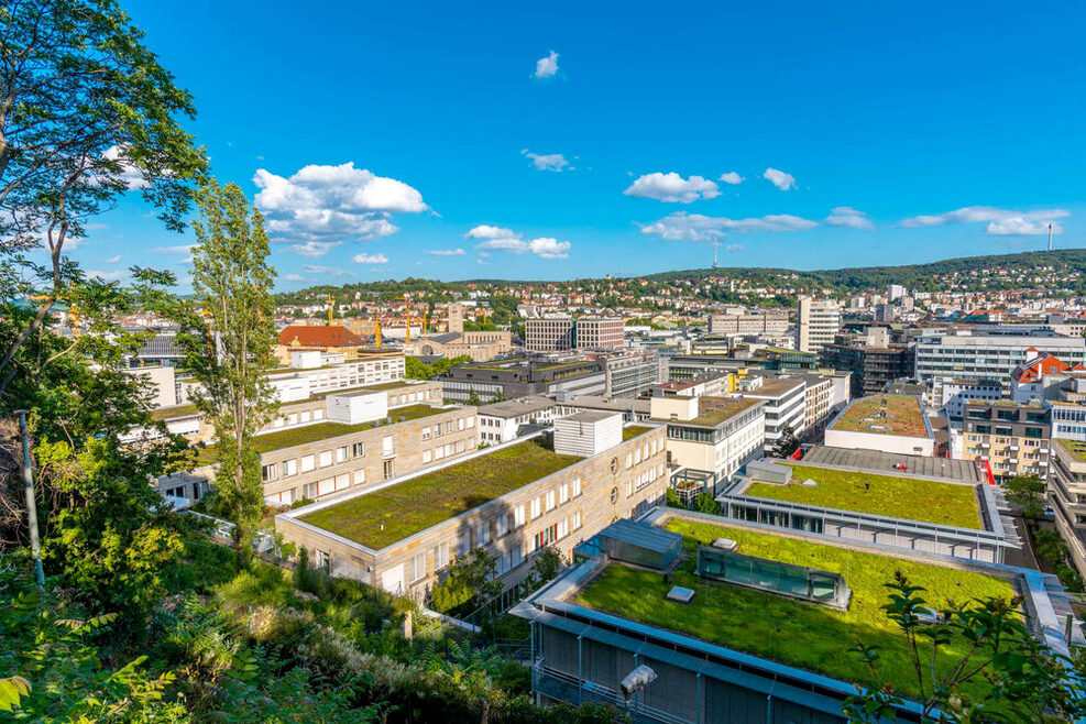 Blick auf Stuttgarter Stadtbezirk mit begrünten Dächern