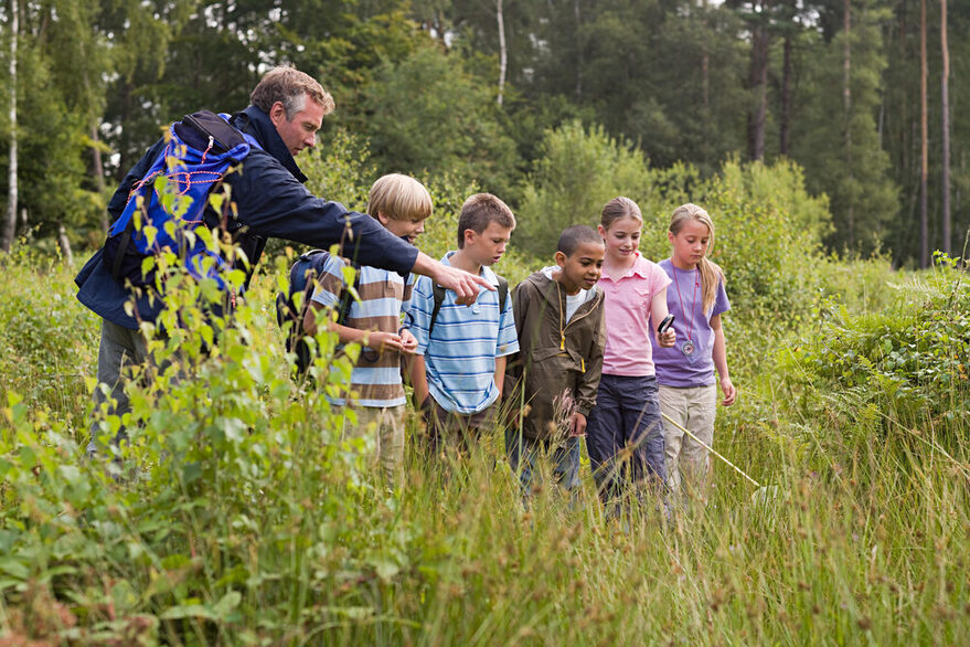 Lehrer zeigt einer Gruppe Kinder in einem Waldstück die verschiedenen Pflanzen