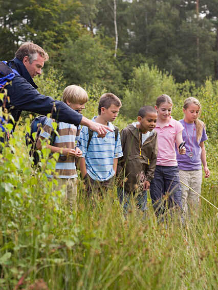 Lehrer zeigt einer Gruppe Kinder in einem Waldstück die verschiedenen Pflanzen