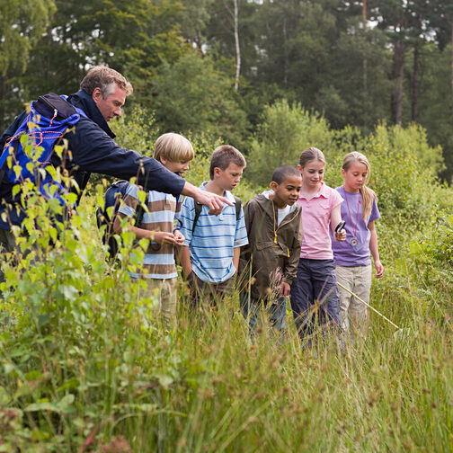 Lehrer zeigt einer Gruppe Kinder in einem Waldstück die verschiedenen Pflanzen