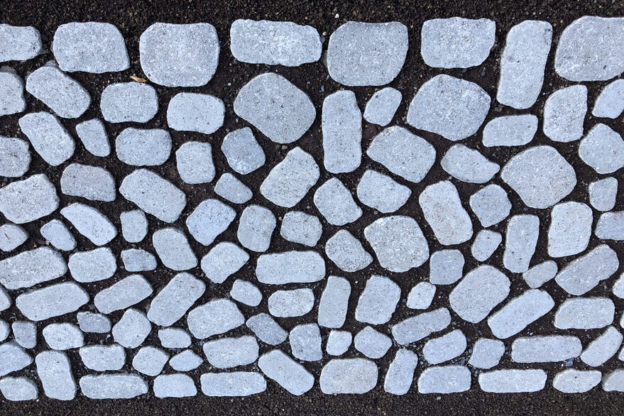 Platz 1. des Umwelt-Fotowettbewerbs in der Kategorie Kinder und Jugendliche bis 14 Jahre