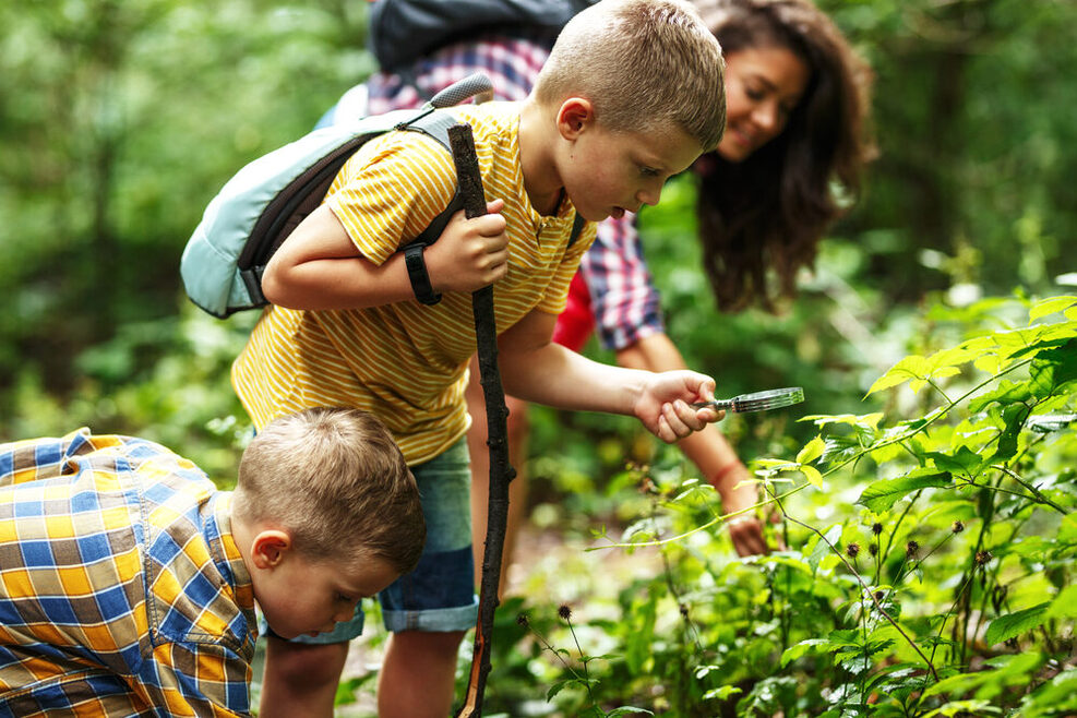Zwei Kinder und eine junge Frau erkunden im Wald Pflanzen. Eines der Kinder hat eine Lupe und einen Stock in der Hand.