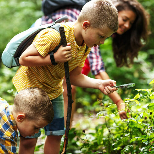 Zwei Kinder und eine junge Frau erkunden im Wald Pflanzen. Eines der Kinder hat eine Lupe und einen Stock in der Hand.