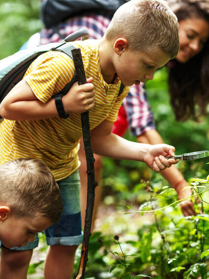 Zwei Kinder und eine junge Frau erkunden im Wald Pflanzen. Eines der Kinder hat eine Lupe und einen Stock in der Hand.