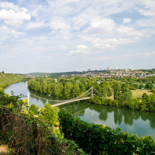 Im Vordergrund ist der Fluss Neckar und eine Brücke zum  Max-Eyth-See zu sehen.