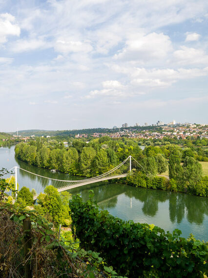 Im Vordergrund ist der Fluss Neckar und eine Brücke zum  Max-Eyth-See zu sehen.