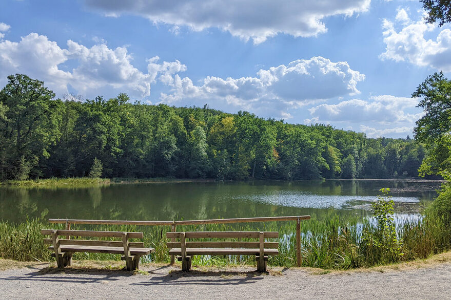 Katzenbachsee mit Sitzbänken in grüner Waldlandschaft