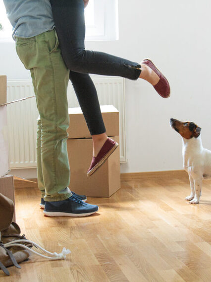 Ein Mann hebt eine Frau in die Luft, rings herum stehen Umzugskisten. Ein Hund schaut zu.